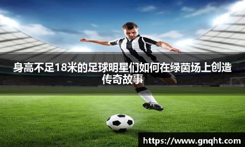 凤凰联盟首页官网